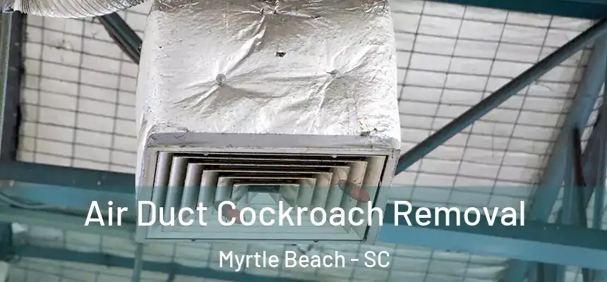 Air Duct Cockroach Removal Myrtle Beach - SC