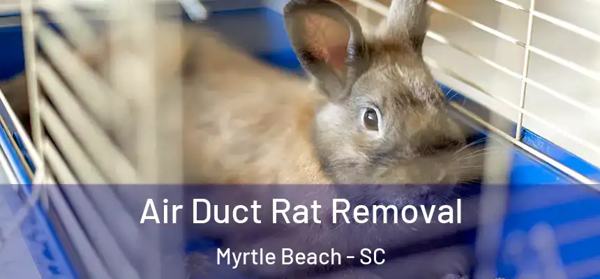 Air Duct Rat Removal Myrtle Beach - SC