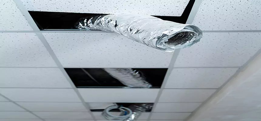 Affordable HVAC Sanitizing After Pest Removal in Myrtle Beach