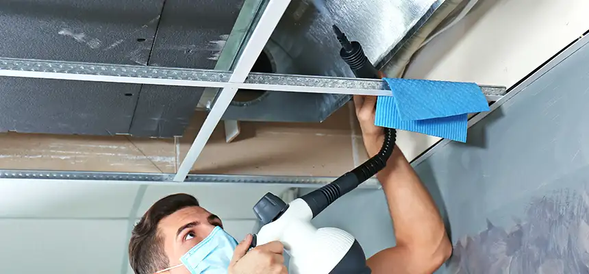 Our Air Duct Rodent Removal Services in Myrtle Beach, SC