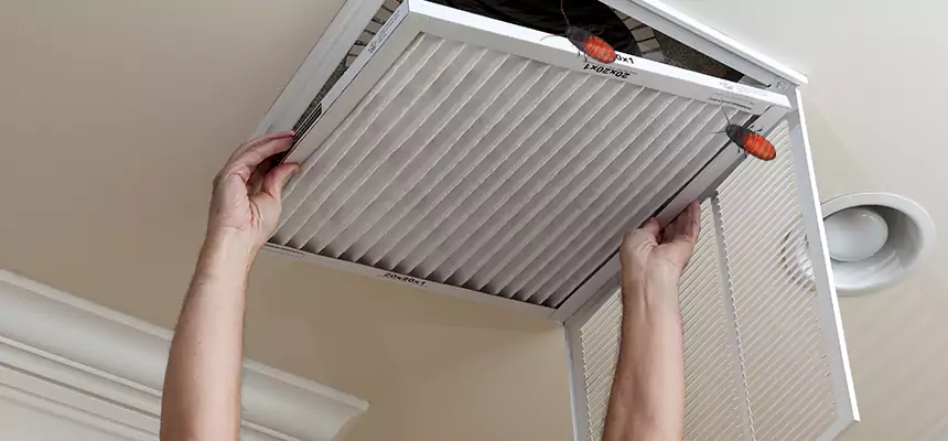 Our Insect Removal from Air Ducts Services in Myrtle Beach, SC