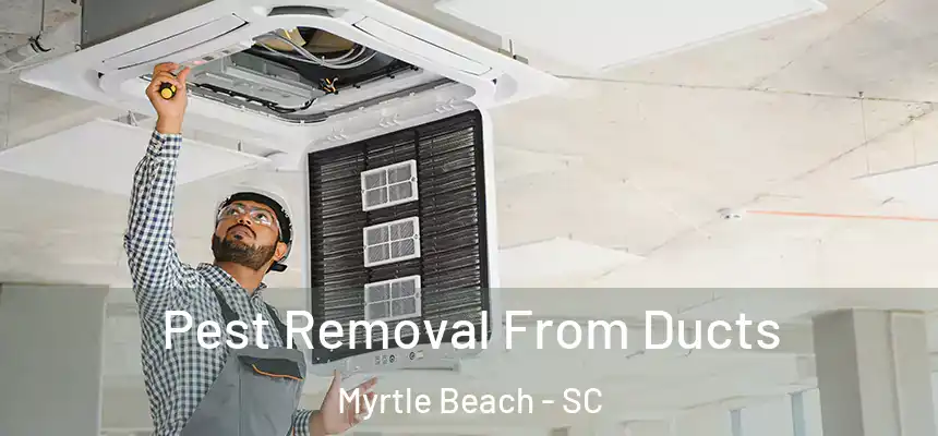Pest Removal From Ducts Myrtle Beach - SC
