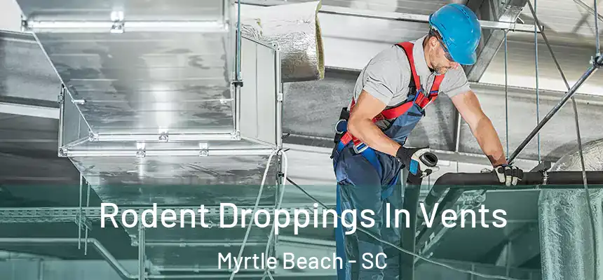  Rodent Droppings In Vents Myrtle Beach - SC