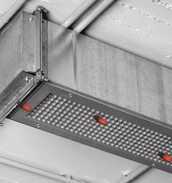 About Air Duct Cockroach Removal in Myrtle Beach, SC