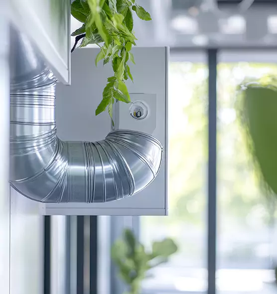 Professional Eco-Safe Dryer Vent Cleaning in Myrtle Beach, SC