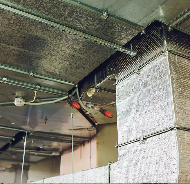 Why Homeowners & Businesses Trust Us in Myrtle Beach, SC?