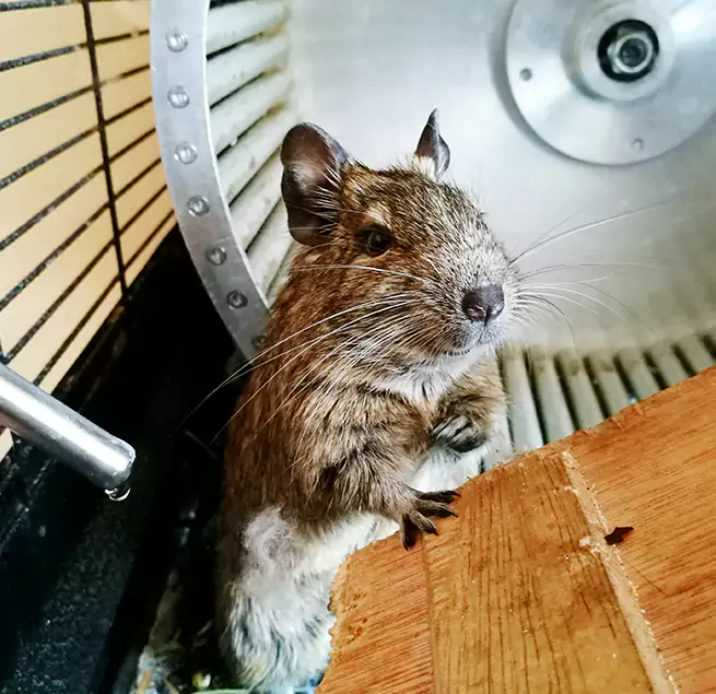 Why Homeowners & Businesses Trust Us Myrtle Beach, SC