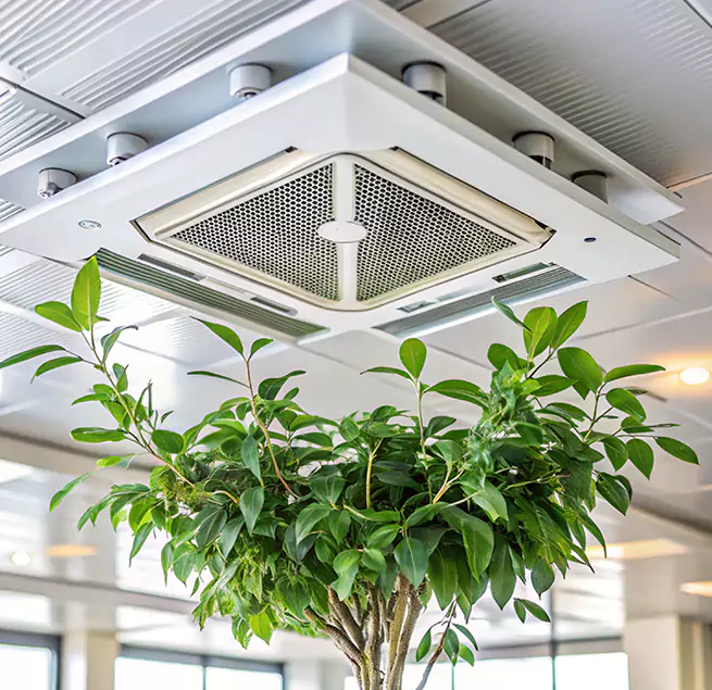 Why Homeowners & Businesses Trust Us in Myrtle Beach, SC?