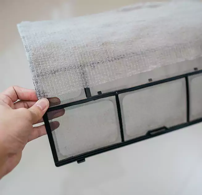 Why Homeowners & Businesses Trust Us in Myrtle Beach, SC?